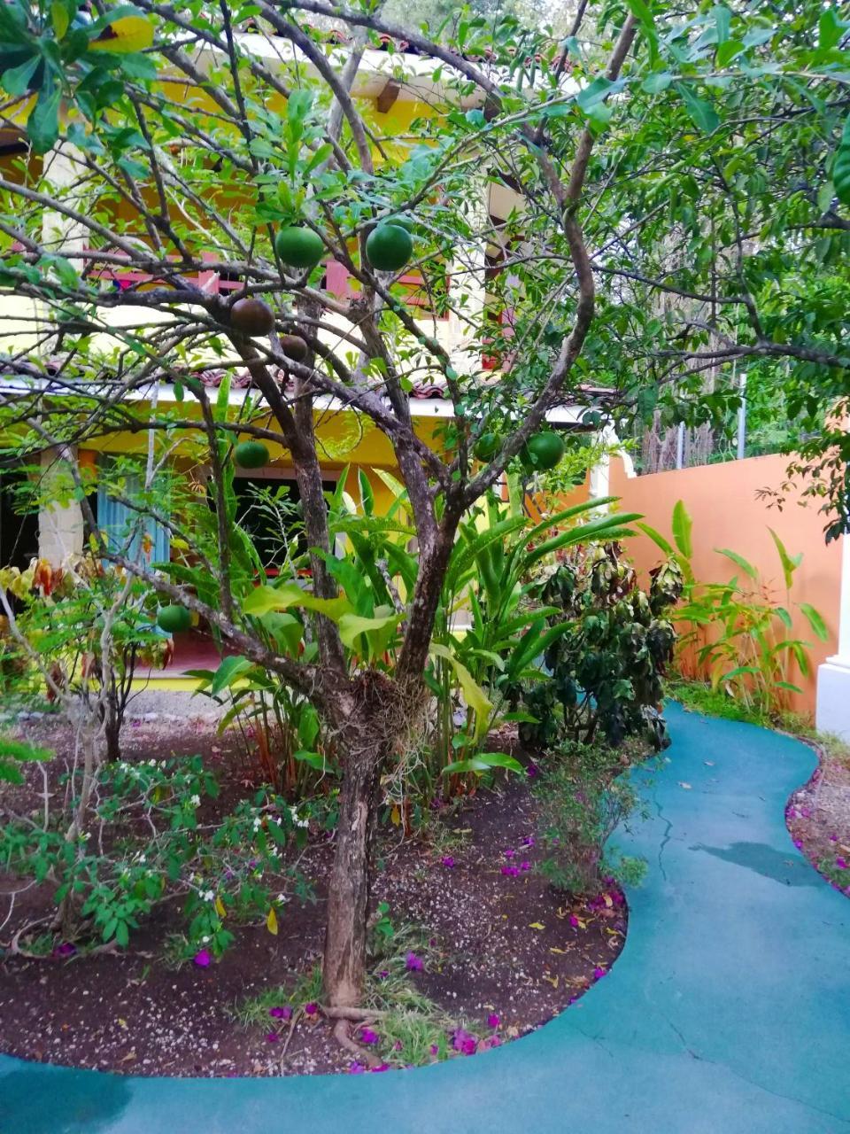 Villas Verdes Sámara Esterno foto