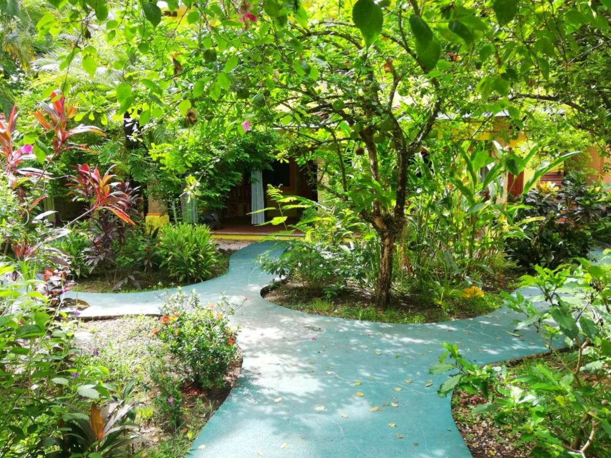 Villas Verdes Sámara Esterno foto